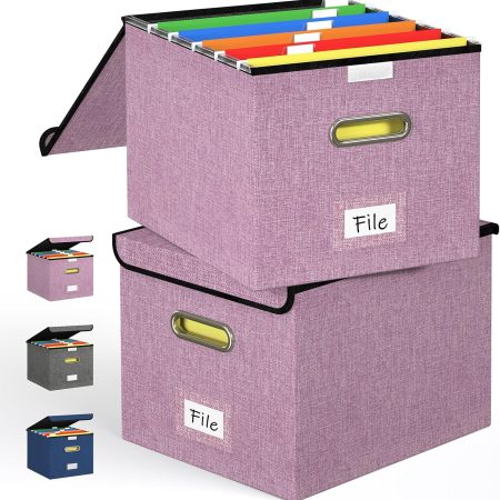 Collapsible File Organizer Box with Lid & Slide Handles, Portable Hanging Folder Storage for Office/Home, Plastic Document File Box with Dividers (2 Pack, Pink)
